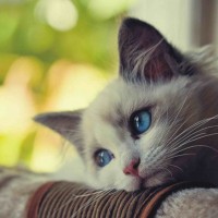 avatar của Vũ Thị F