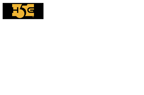 Team D Logo